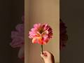 DIY peonies | How to make a peony Flower from paper Towels 🧻 #shortsviral #diy #paperflowers