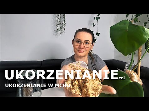 Wideo: Jak używać suszonego mchu torfowca?