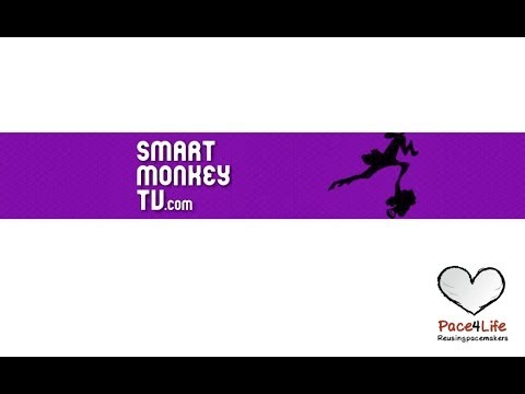 SmartMonkeyTV interviewing Founder of Pace4Life, Balasundaram Lavan