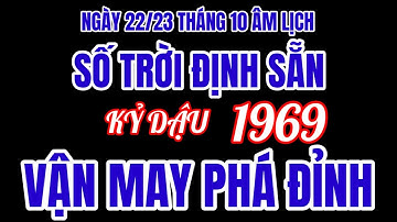 Tử vi ngày 22/23 tháng 10 âm lịch. Số trời định sẵn, vận may phá đỉnh cho. Kỷ Dậu sinh năm 1969!