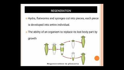 Fragmentation & Regeneration