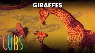 Giraffes | Cubs (S1E5) | FULL EPISODE | Da Vinci