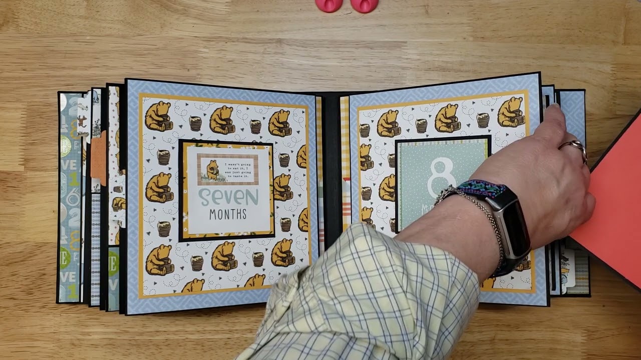 Baby's First Year Photo Album