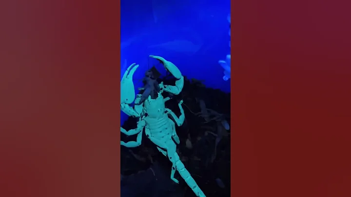 Radioactive scorpions!