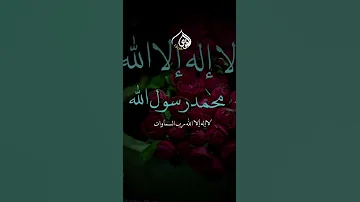 August 17 2025 