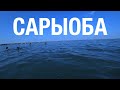 Озеро Сарыоба. Лечебная грязь. Соленое озеро рядом с Астаной (Нур-Султан)