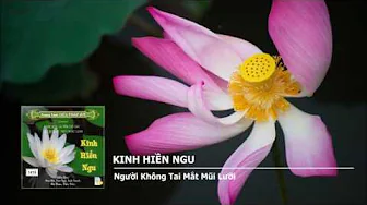 Người Không Tai Mắt Mũi Lưỡi 