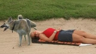ЛУЧШИЕ ПРИКОЛЫ 2015 САМЫЕ СМЕШНЫЕ ПРИКОЛЫ Выпуск 2 | Very Funny Videos 2015 compilation ЛУЧШИЕ ПРИКОЛЫ 2015 САМЫЕ СМЕШНЫЕ ПРИКОЛЫ Выпуск 2 | Very Funny Videos 2015 compilation