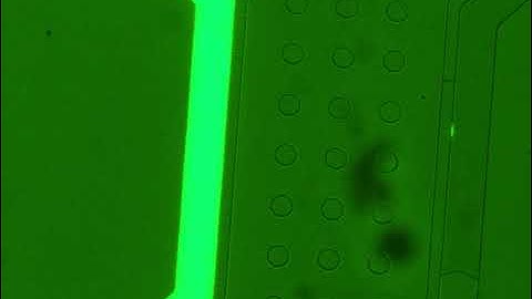 Gradient generation inside nanopore microfluidic device