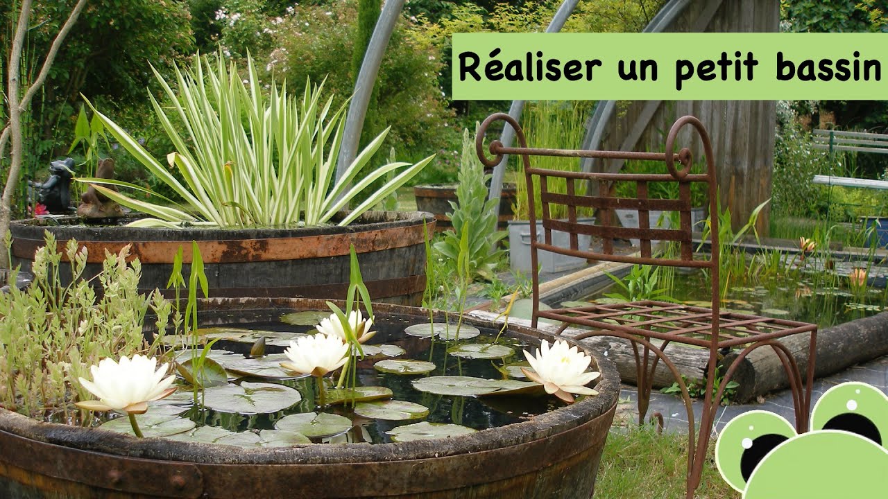 Transformation d'une demi barrique en bassin - Santonine - Plantes