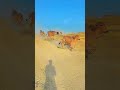 gir cow herd masti to jump come run in Gaushala | all same gir cow playing#short#viral#cow#trending