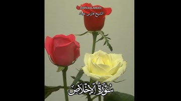 سورة الإخلاص | الشيخ فارس عباد، استغفر الله العظيم واتوب اليه،  حالات واتساب