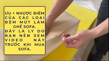 Chi Tiết Các Loại Đệm Mút Sofa, Ưu Nhược Điểm Của Chúng, Tại Sao Bạn Phải Xem Trước Khi Mua Sopha