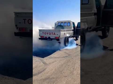 وصل وصل الذيب وصل شاص