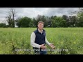 HOLL OSR: The High-Oleic Oilseed Alternative to '00'
