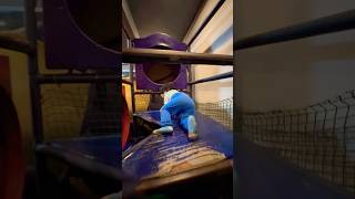 Zoi Play With Cousin