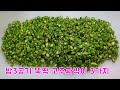 밥도둑 고추 짜박이 만들기 3가지 / 1년 넘게 실온에 두어도 돼요 | 3 ways to make red pepper dish🌶