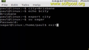 How to export environment variable in Mac OSX Terminal