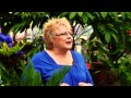 I Dream In Green TV Spot 1 2011 