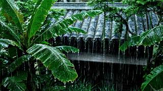 Reduce Stress & Sleep Deeply 🌧️ Rain Sounds On Forest Leaves With Gentle Thunder Asmr screenshot 4