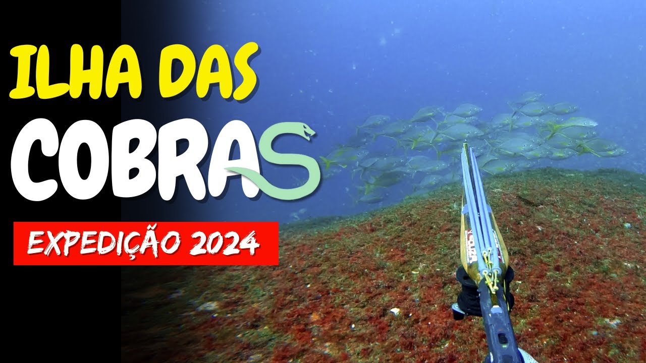 Hunter's Pesca Sub - Pescaria na Ilha da Queimada Grande 2024