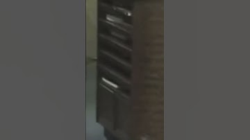 Bones - Untitled Snippet (5/25/25)