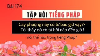 Bài 174 - 'Cây phượng này có từ bao giờ vậy?- Tôi thấy nó có từ hồi nào đến giờ !