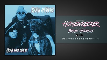 Homewrecker- Bryan Andrews