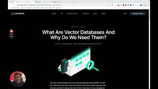 What are vector databases and how do we use them to find answers from our data | Locusive