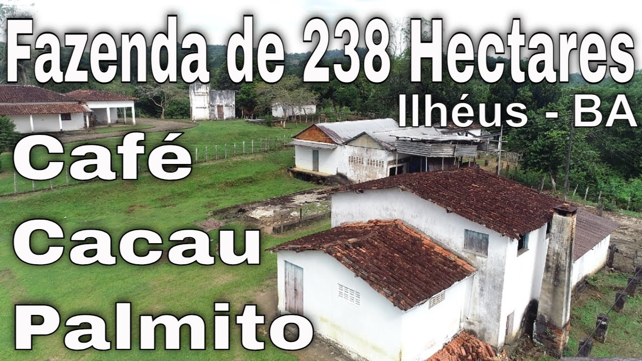 FAZENDA de 238 Hectares. Café, Cacau, Palmito e Açaí - ILHÉUS BA