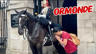 HEARTWARMING MOMENT, ORMONDE Received HUGE RESPECT from the tourist