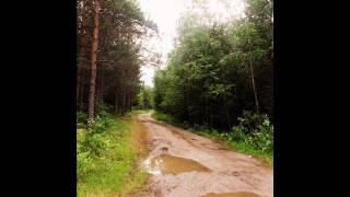 Download Lagu Skinny- Bara en man MP3