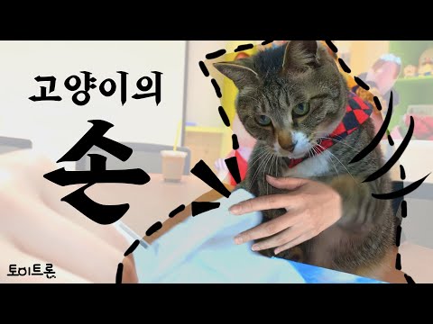 [장난감 나라의 트론이] EP. 34 고양이의 손 │ <strong>Cat</strong>&amp;#39;s <strong>Hand</strong>(?)