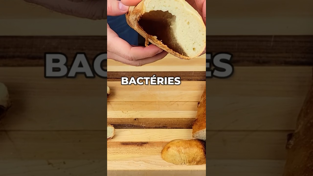 Ce pain a levé avec des bactéries de fromage 😳