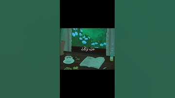 سورة هود الآية 88