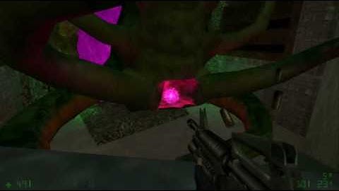 Half-Life: Opposing Force - World