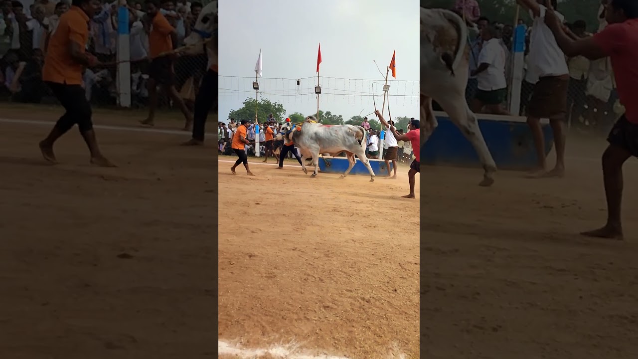 Chatrapati 🫰❤️😀😘 