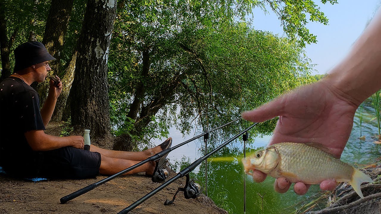 Float Rod Fishing on a Peaceful Lake Afternoon | Relaxing Ambience with Real Nature Sounds ASMR
