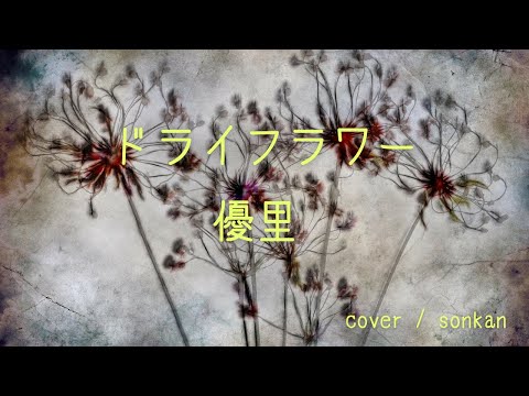 ドライフラワー/優里【covered by sonkan】