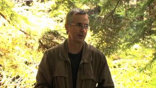 The Loss and Discovery of Avro Anson L7056