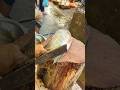 Amazing Tilapia Fish Cutting Skills In Bangladesh Fish Market