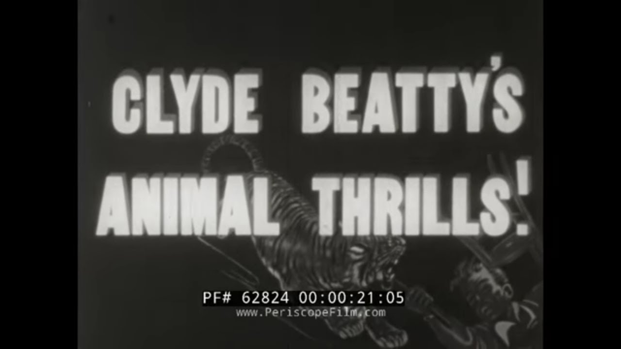 CLYDE BEATTY'S CIRCUS   FIGHTING ACT w/ BENGAL TIGERS, LIONS & BIG CATS  62824