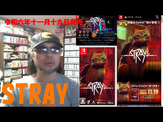 stray-y様　商品説明必読 sddefault.jpg