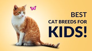 10 Best cat breeds for Kids!