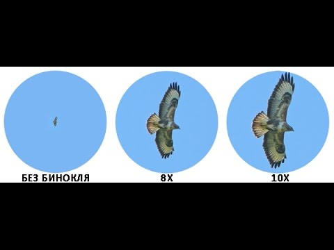 крат увеличение бинокля. характеристики биноклей. бинокль бпц 12х40 схема. кратность бинокля 12х50. бинокль кратность пример.