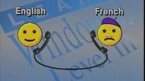 Learn Windows 95 (Video Professor) (Level 3)