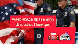 Права алуу / Америкада машина / Штафы / Правила дорожного движения/ Полиции / Америка / ДТП / США