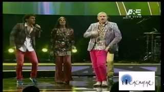 Miguel Bose en Viña 2013 -COMPLETO -[HQ HD] Parte 1 de 5