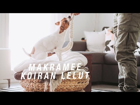 DIY MAKRAMEE || KOIRAN LELUT 🐶