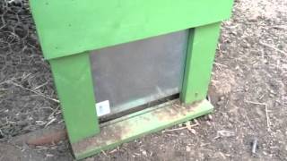 chicken door coop automatic